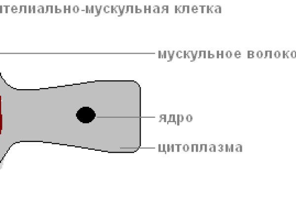 Как посчитать комиссию перевода на мегу