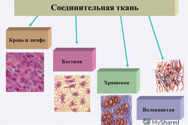 Новый домен кракена v3