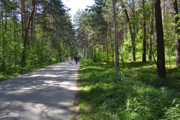 Омг сайт в тор браузере ссылка зеркала